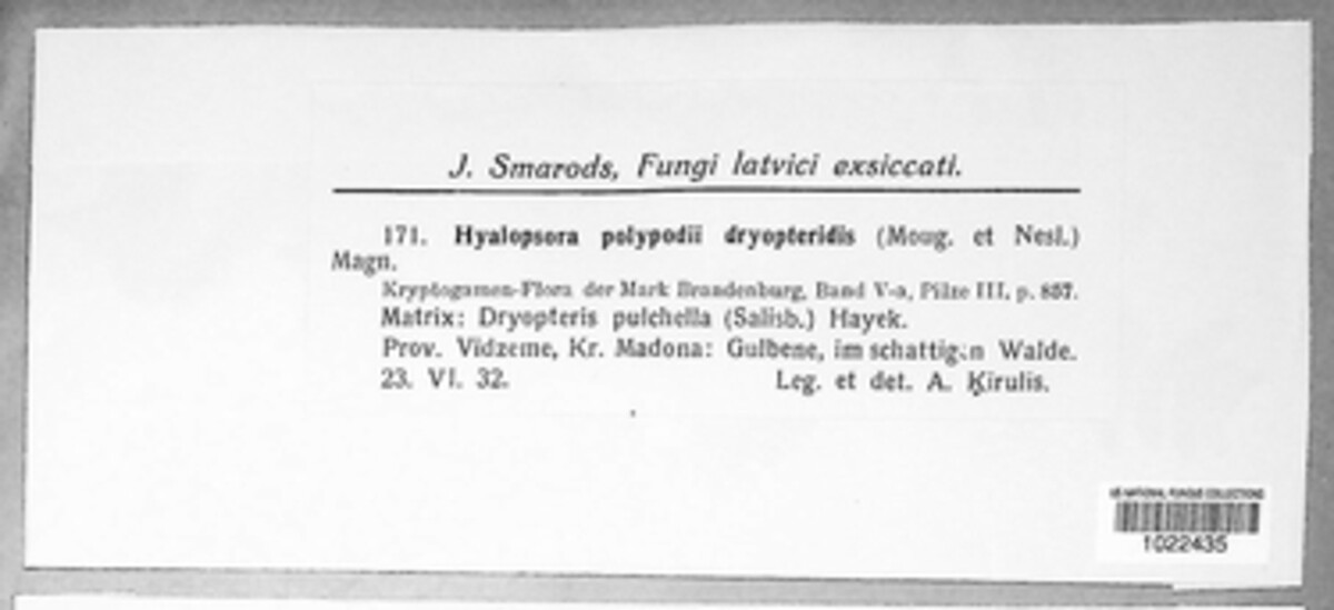 Hyalopsora image